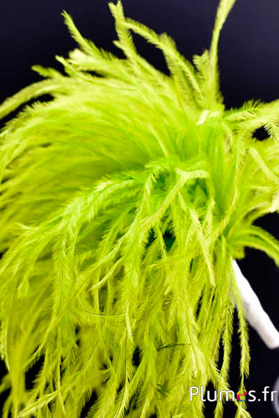 Plumet autruche avec anneau - ht 18-20 cm - lime